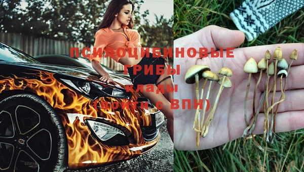 mdma Бородино