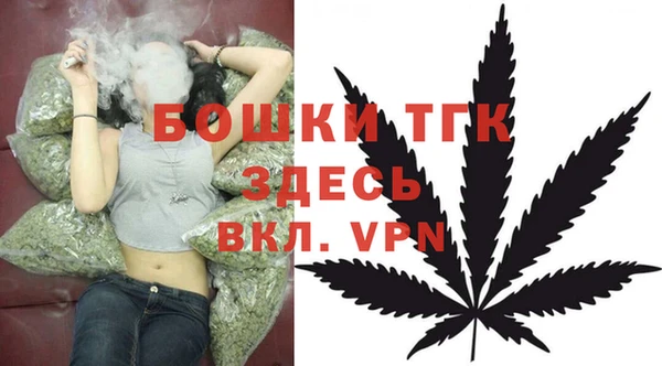 PSILOCYBIN Бугульма