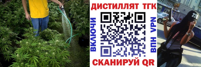 магазин    Вельск  ТГК концентрат 