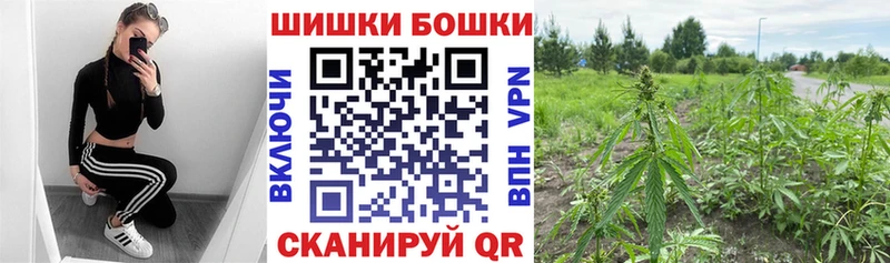 Шишки марихуана план  Вельск 